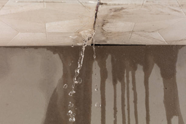 Professional Burst Pipe Cleanup technician working in Farner, TN